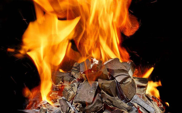 燃料發(fā)熱量檢測(cè)